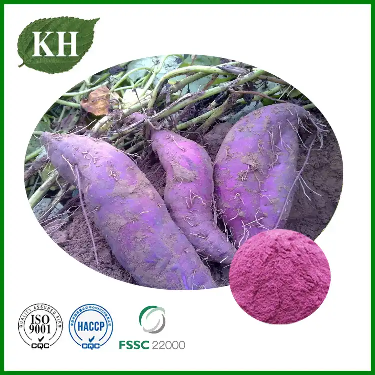 Can Purple Sweet Potato Extract Support Cellular Protection?